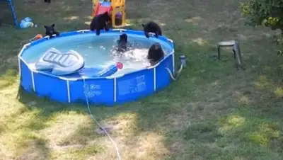 Zakon.kz, фото - Новости Zakon.kz от 23.08.2015 15:55