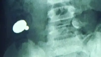 Zakon.kz, фото - Новости Zakon.kz от 21.05.2015 22:47