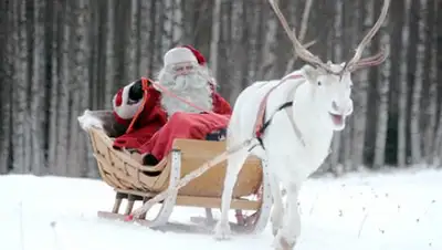 Zakon.kz, фото - Новости Zakon.kz от 15.12.2017 14:04