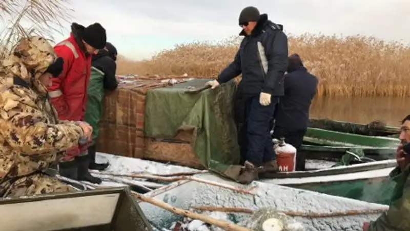 У браконьеров изъяли рыбу почти на 3 млн тенге