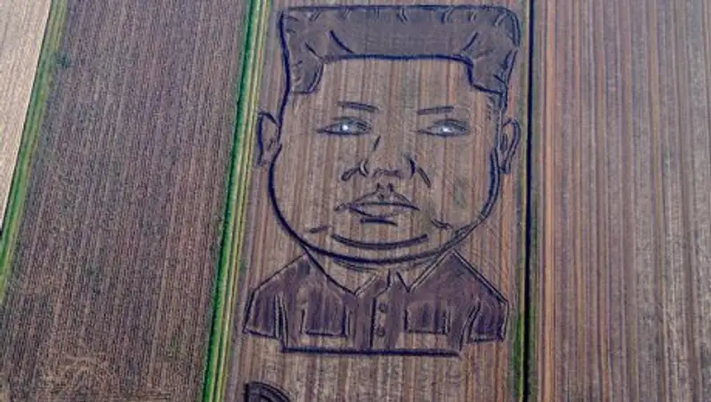 На соевом поле в Италии появился двухсотметровый портрет Ким Чен Ына