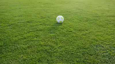 "Они улетают": обращение мальчика к акиму Балхаша умилило пользователей Казнета, фото - Новости Zakon.kz от 26.07.2023 10:35