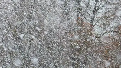 Pixabay, фото - Новости Zakon.kz от 02.12.2019 15:24