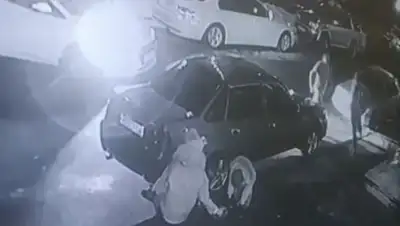 Скриншот видео, фото - Новости Zakon.kz от 15.01.2020 11:35