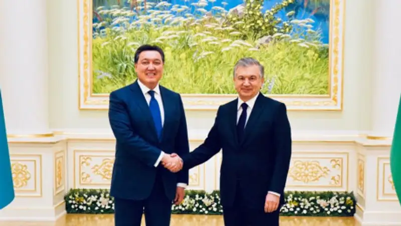 Аскар Мамин встретился с президентом Узбекистана