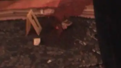 Zakon.kz, фото - Новости Zakon.kz от 03.11.2014 21:18