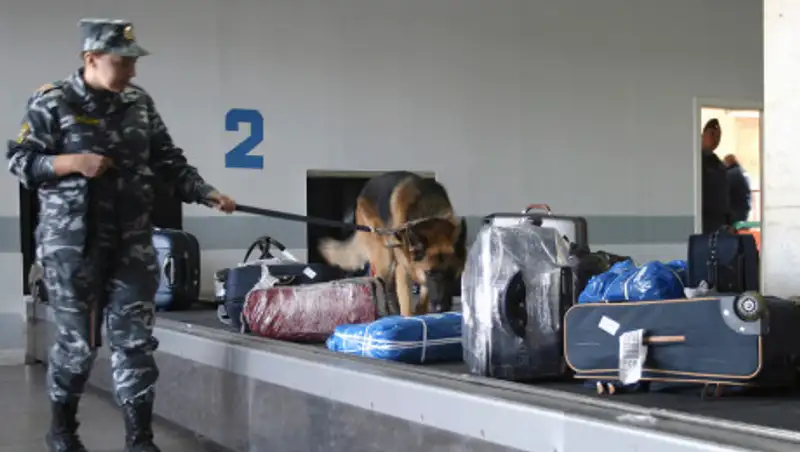 Почти 400 кг бесхозных китайских товаров обнаружили казахстанские пограничники