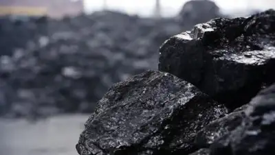 abctv.kz, фото - Новости Zakon.kz от 22.11.2018 10:24