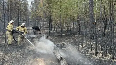 Названы имена погибших на пожаре в Абайской области, фото - Новости Zakon.kz от 10.06.2023 23:02