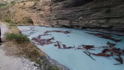 в Туркестанской области в горной речке утонули иностранцы