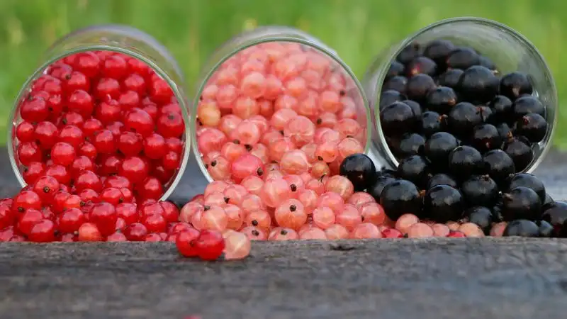 Эндокринолог назвала продукты, замедляющие старение