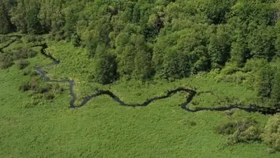 Вслух.ру, фото - Новости Zakon.kz от 29.11.2018 08:21