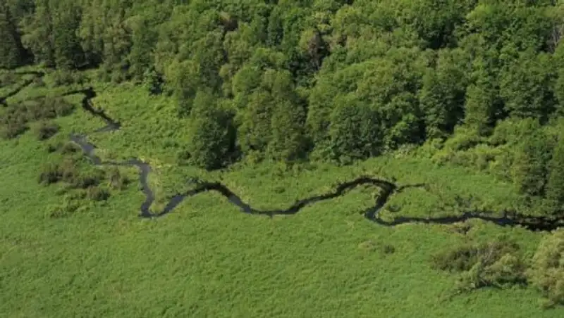 Вокруг Тараза появится "зеленый пояс"
