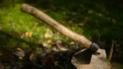 Zakon.kz, фото - Новости Zakon.kz от 29.09.2017 11:00