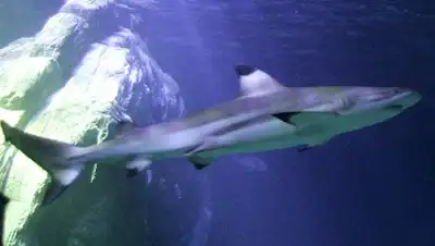 Zakon.kz, фото - Новости Zakon.kz от 28.11.2014 15:23