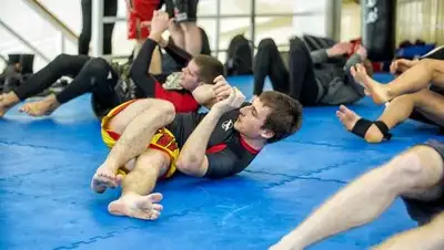 Zakon.kz, фото - Новости Zakon.kz от 29.08.2017 17:56