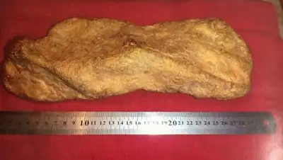 Zakon.kz, фото - Новости Zakon.kz от 01.08.2017 17:41