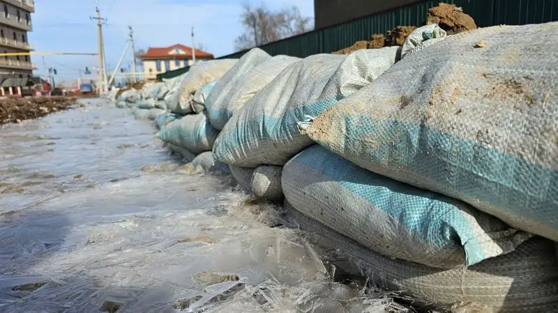 село Узынагаш после паводков, фото - Новости Zakon.kz от 23.02.2023 16:33