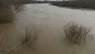 pkzsk.kz, фото - Новости Zakon.kz от 15.03.2018 15:03