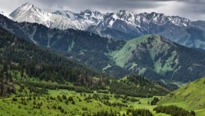 Пять участков Иле-Алатауского парка сдадут в аренду