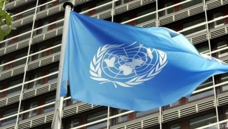 Почему Казахстан прошел в Совет безопасности ООН