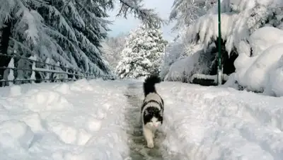 Zakon.kz, фото - Новости Zakon.kz от 24.02.2017 19:52