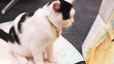 Zakon.kz, фото - Новости Zakon.kz от 21.11.2017 14:43