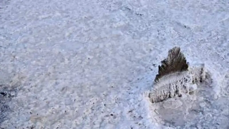 , фото - Новости Zakon.kz от 17.07.2023 10:32