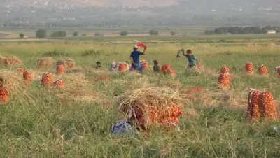 network.org, фото - Новости Zakon.kz от 08.10.2020 12:59