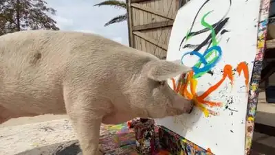 thesun.co.uk, фото - Новости Zakon.kz от 20.03.2021 17:52