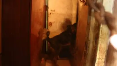 Zakon.kz, фото - Новости Zakon.kz от 28.06.2017 23:24