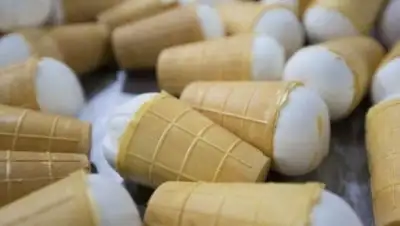 kazakh-zerno.kz, фото - Новости Zakon.kz от 30.03.2018 16:03