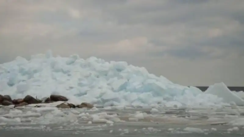 Подтопления и подъем уровня воды прогнозируется в Алматинской области