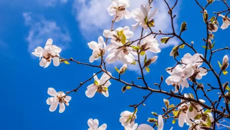 До 30 градусов жары ожидается в Казахстане