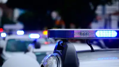 Pixabay, фото - Новости Zakon.kz от 14.03.2019 15:30