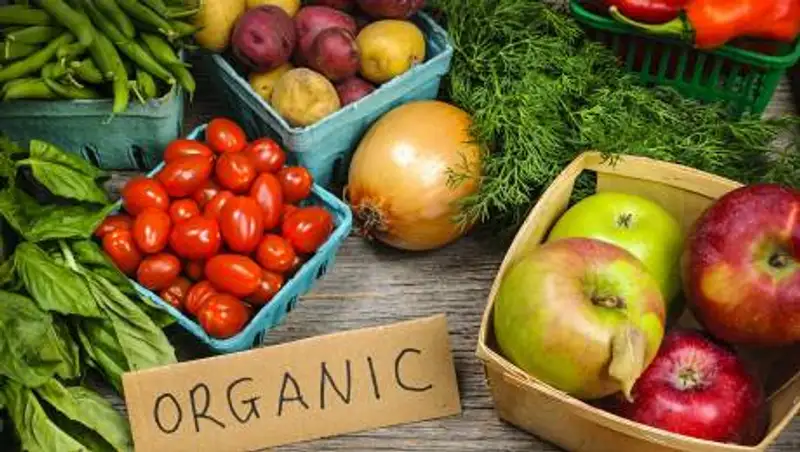 История казахстанской органики еще не началась