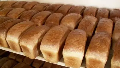 Zakon.kz, фото - Новости Zakon.kz от 15.02.2017 19:31