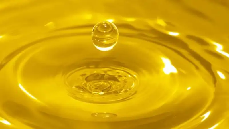 В Жамбылской области сафлоровое масло экспортируют в Китай и Бельгию