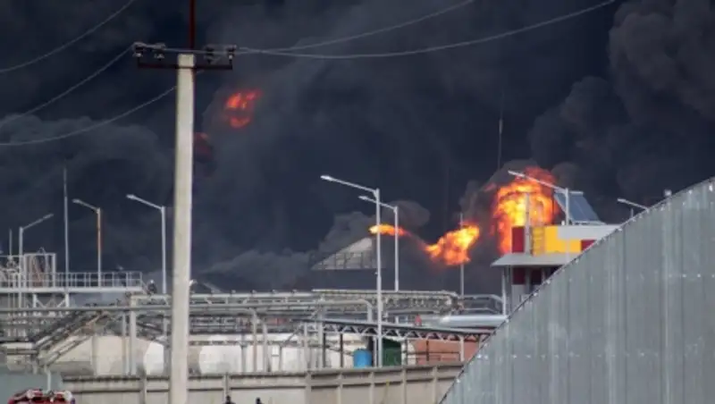 Ветслужба: из-за пожара под Киевом овощи, фрукты, рыба, мясо заражены кислотными осадками