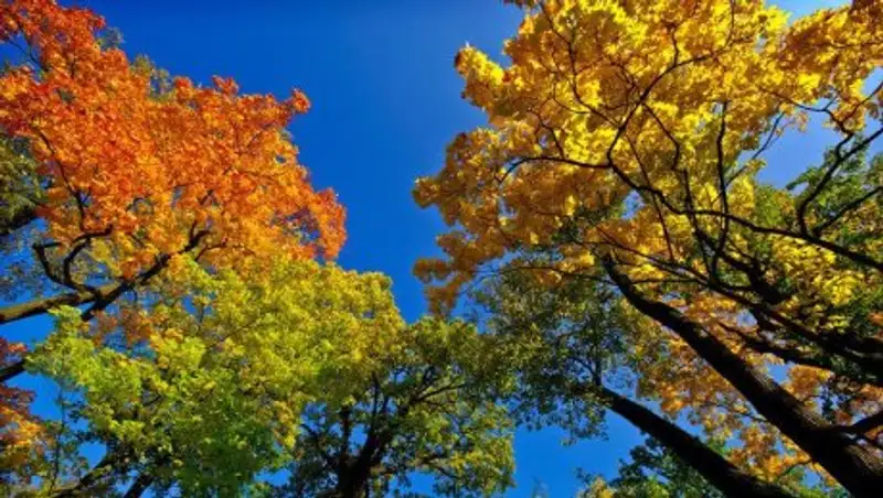 Погода без осадков сохраняется в Казахстане