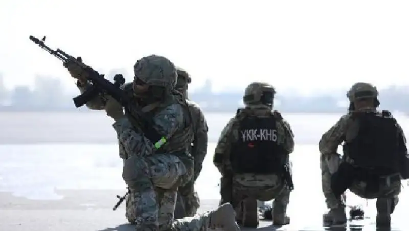 Из Афганистана в Нидерланды: КНБ Казахстана ликвидировал международный наркосиндикат