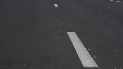 Собака выпала из машины на аль-Фараби в Алматы , фото - Новости Zakon.kz от 02.10.2023 10:25