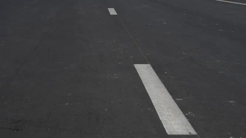 Собака выпала из машины на аль-Фараби в Алматы