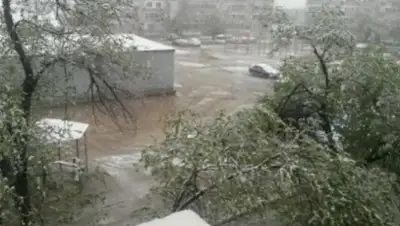 Zakon.kz, фото - Новости Zakon.kz от 05.04.2016 17:11