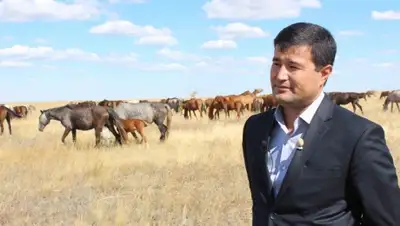 Zakon.kz, фото - Новости Zakon.kz от 07.09.2015 15:48