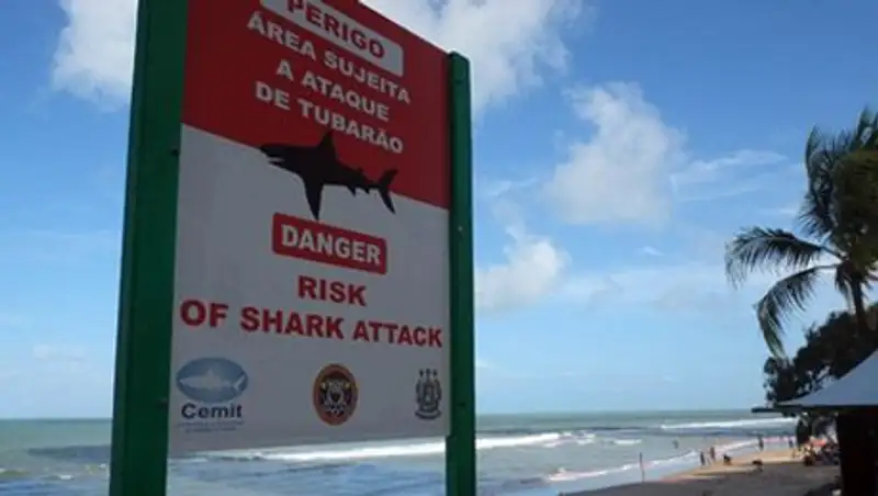 Австралийская школьница спугнула акулу своим криком