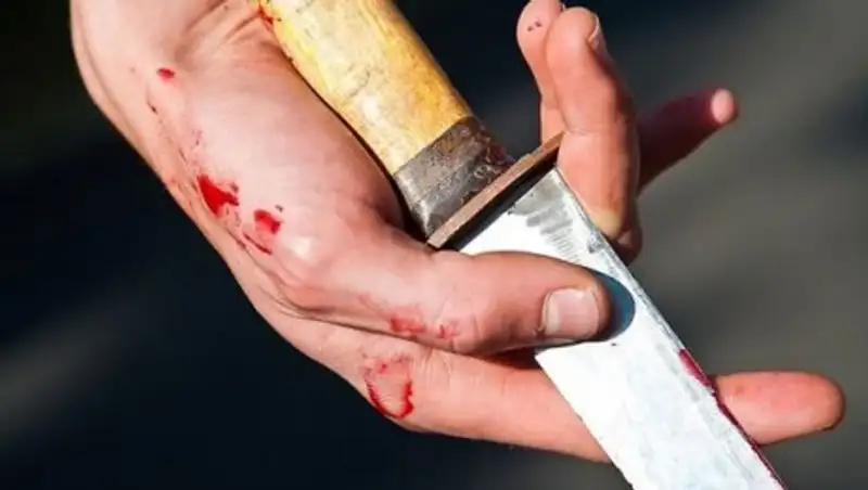 В Павлодарской области мужчина ранил ножом женщину и ее троих детей