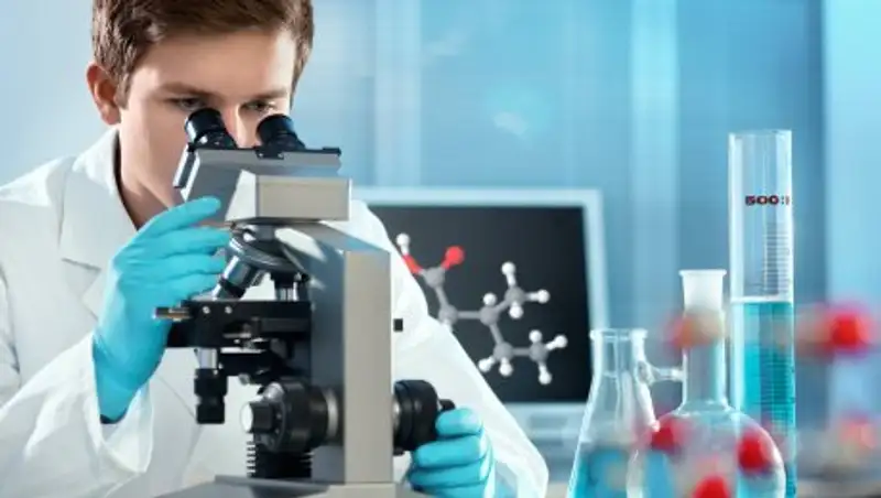 Биологи создадут полностью искусственные дрожжи к 2019 году