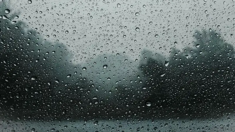 На юго-западе Казахстана ожидаются осадки 28 января