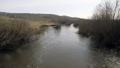 Zakon.kz, фото - Новости Zakon.kz от 03.10.2017 12:29